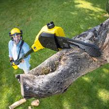 Best Lawn Irrigation Installation and Maintenance  in Eielson Af, AK