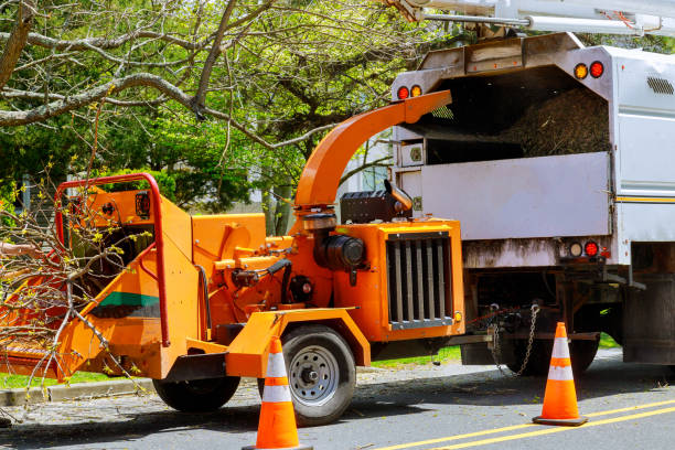 Best Aeration Services  in Eielson Af, AK